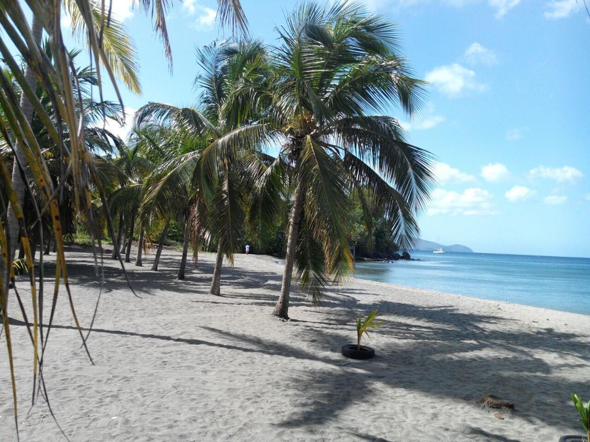 Résidence madiana plage Schoelcher Extérieur photo