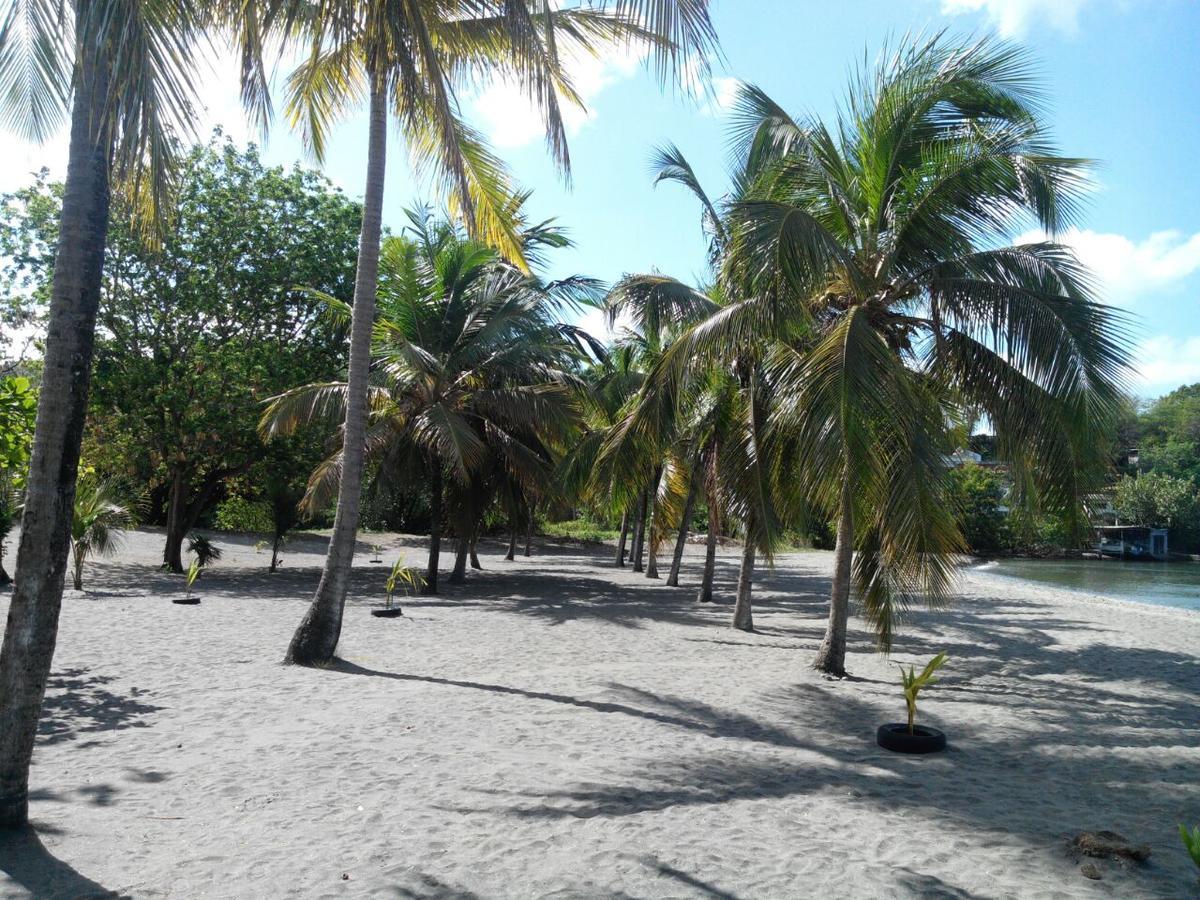 Résidence madiana plage Schoelcher Extérieur photo